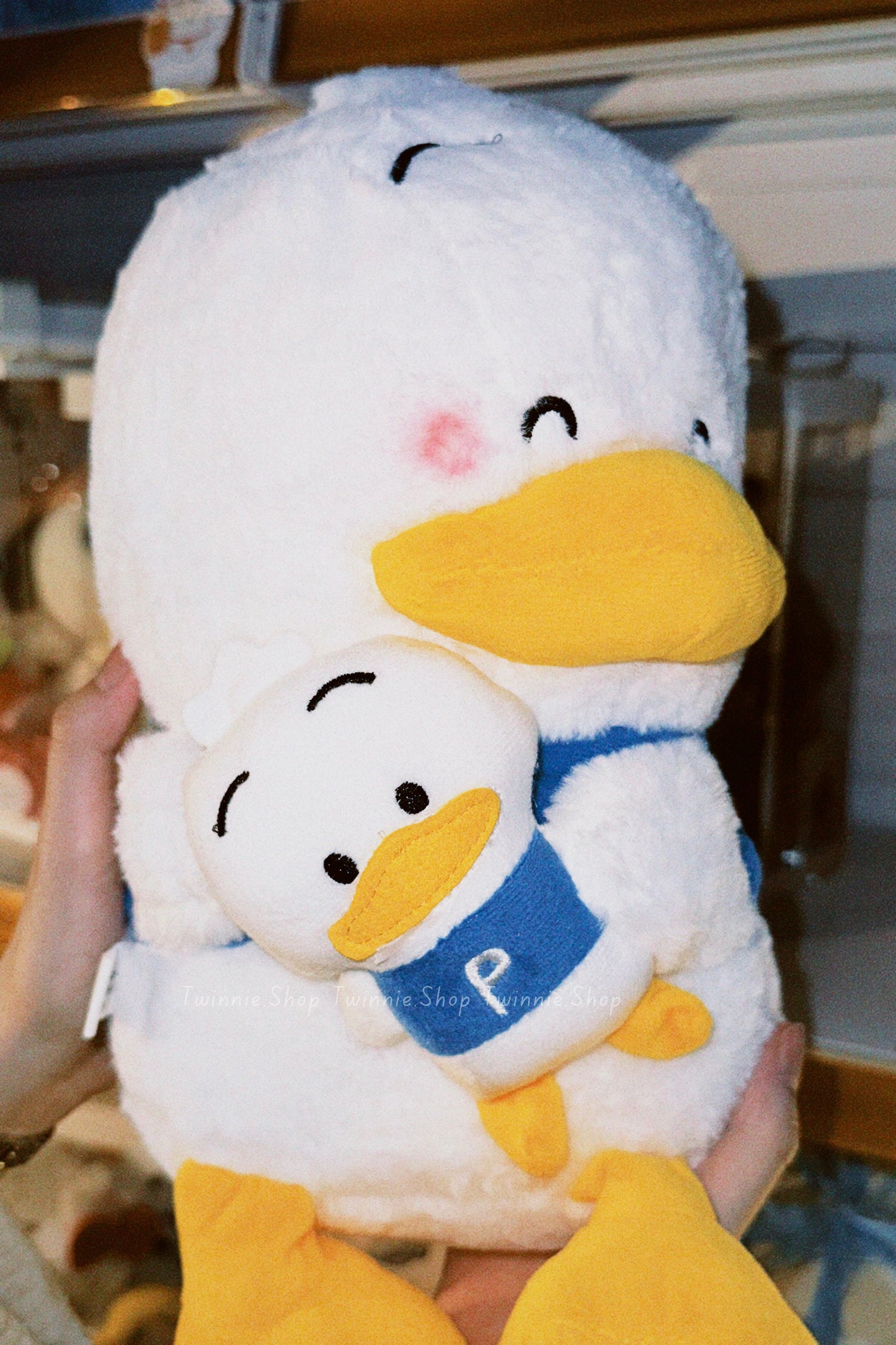 BT | Cute Ducky