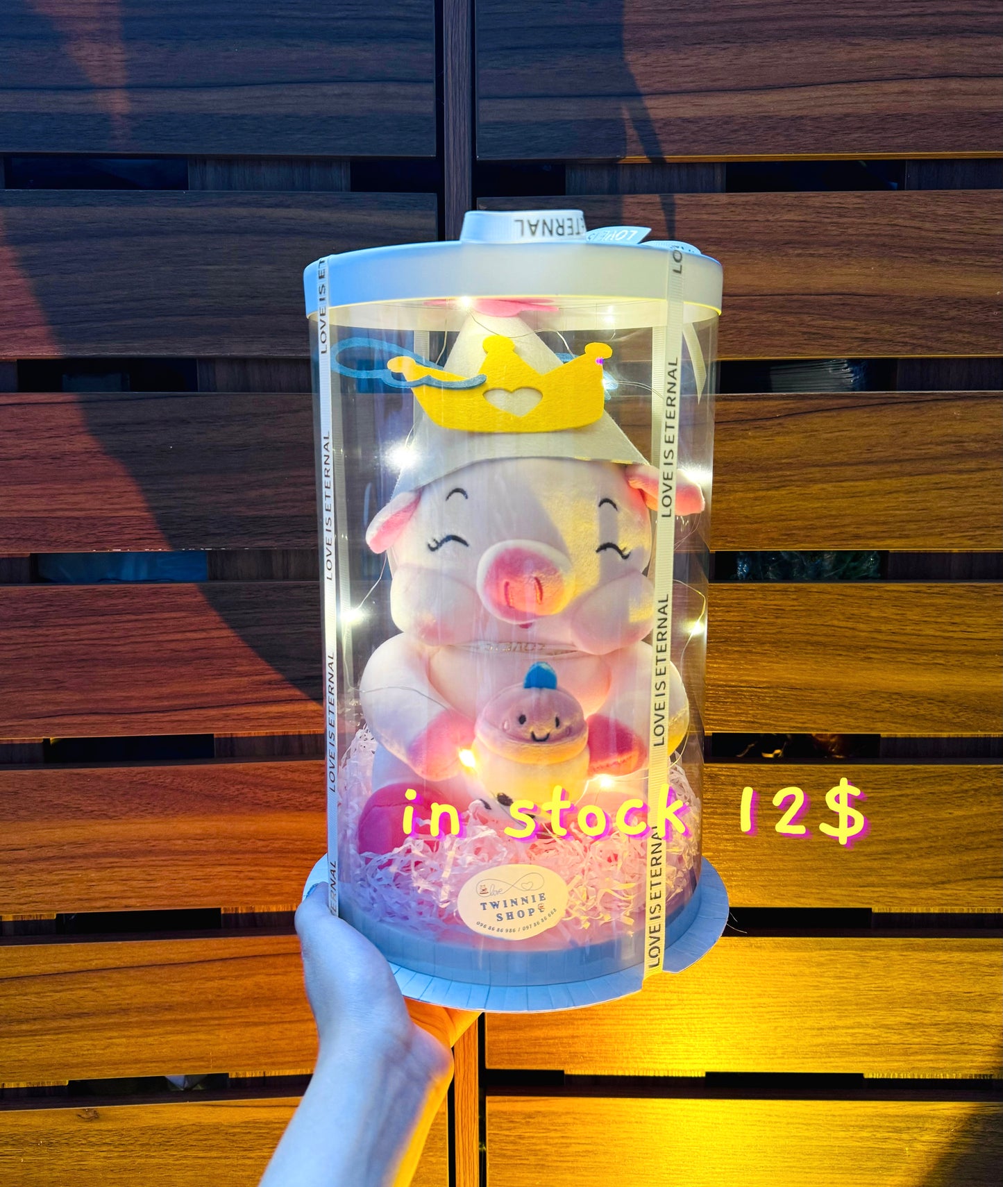 PCB | Piggy princess set