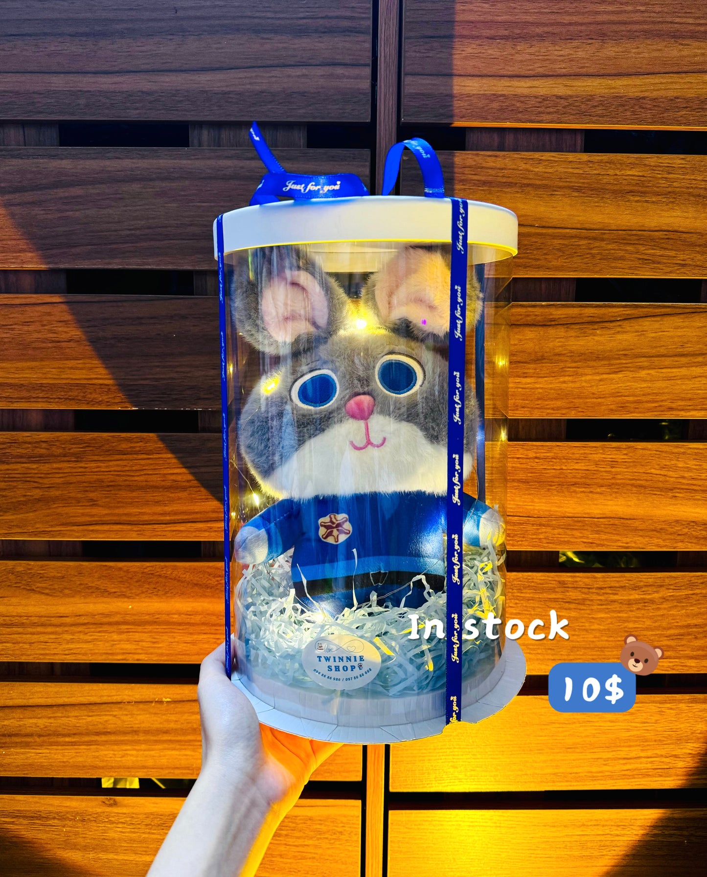 SRB | Zootopia gift set
