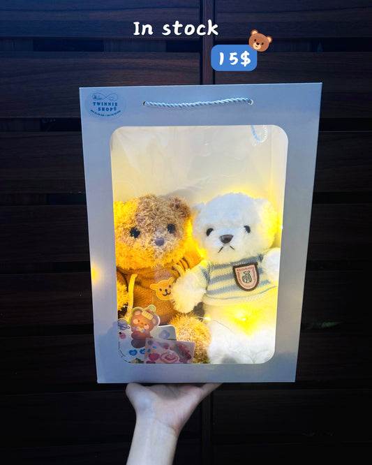CPB | teddy bear couple gift bag