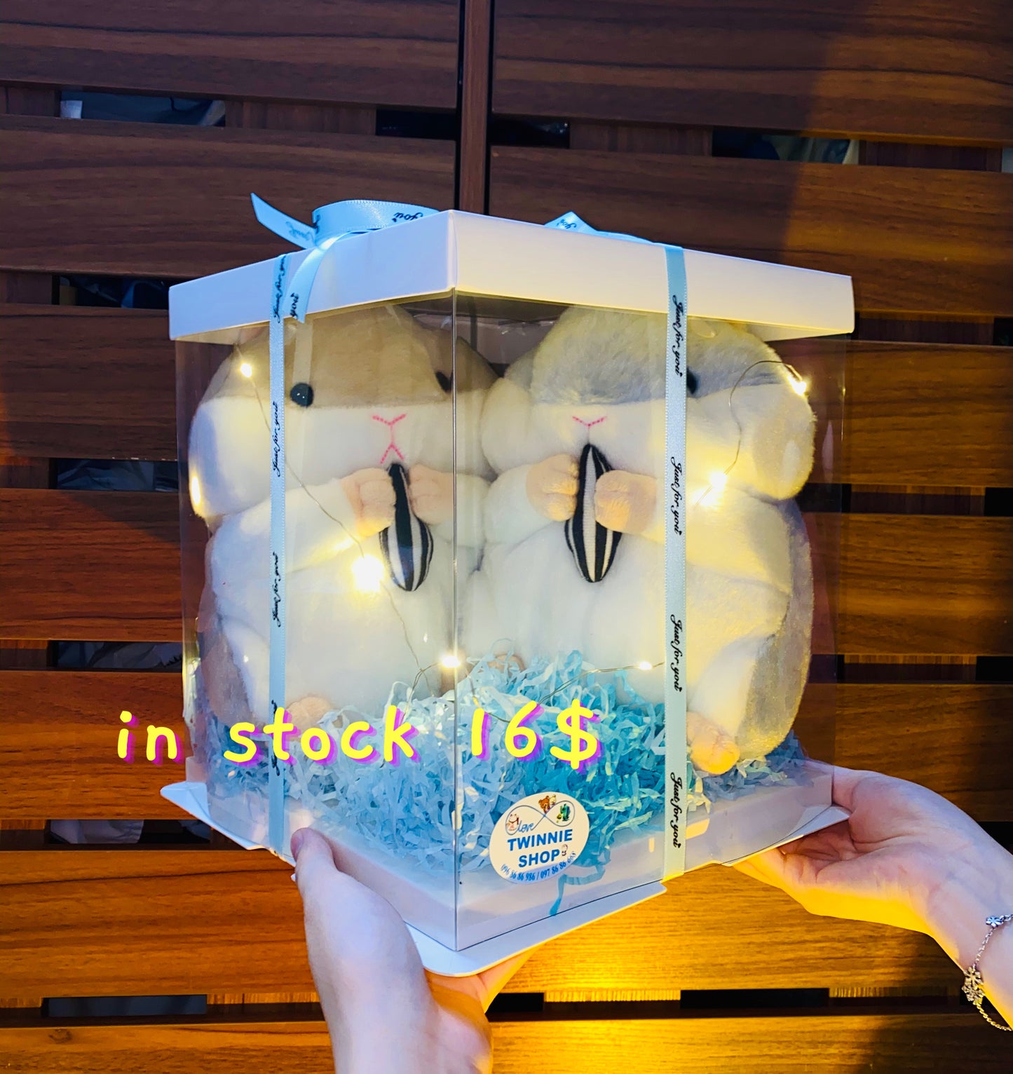 CPB | Hamster couple set