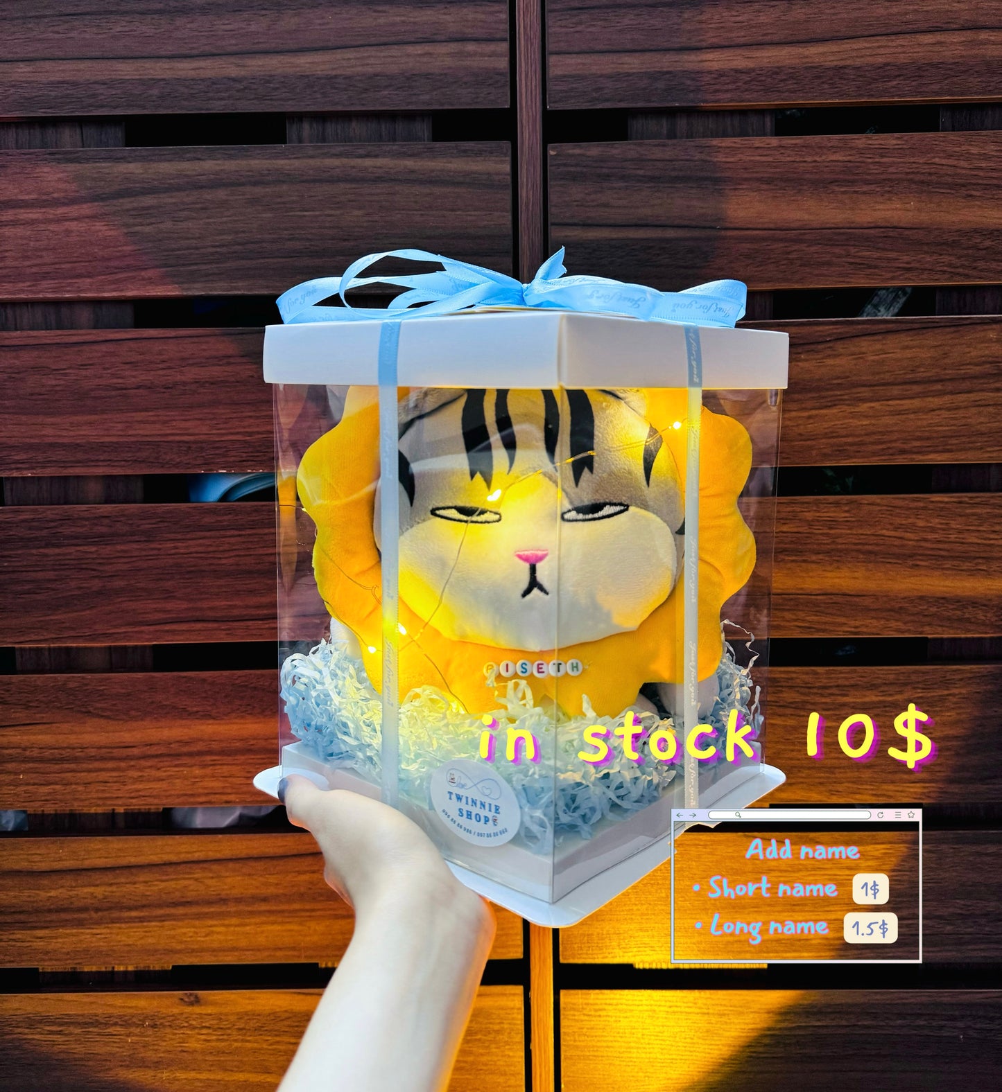 SRB10 | Moody cat gift box