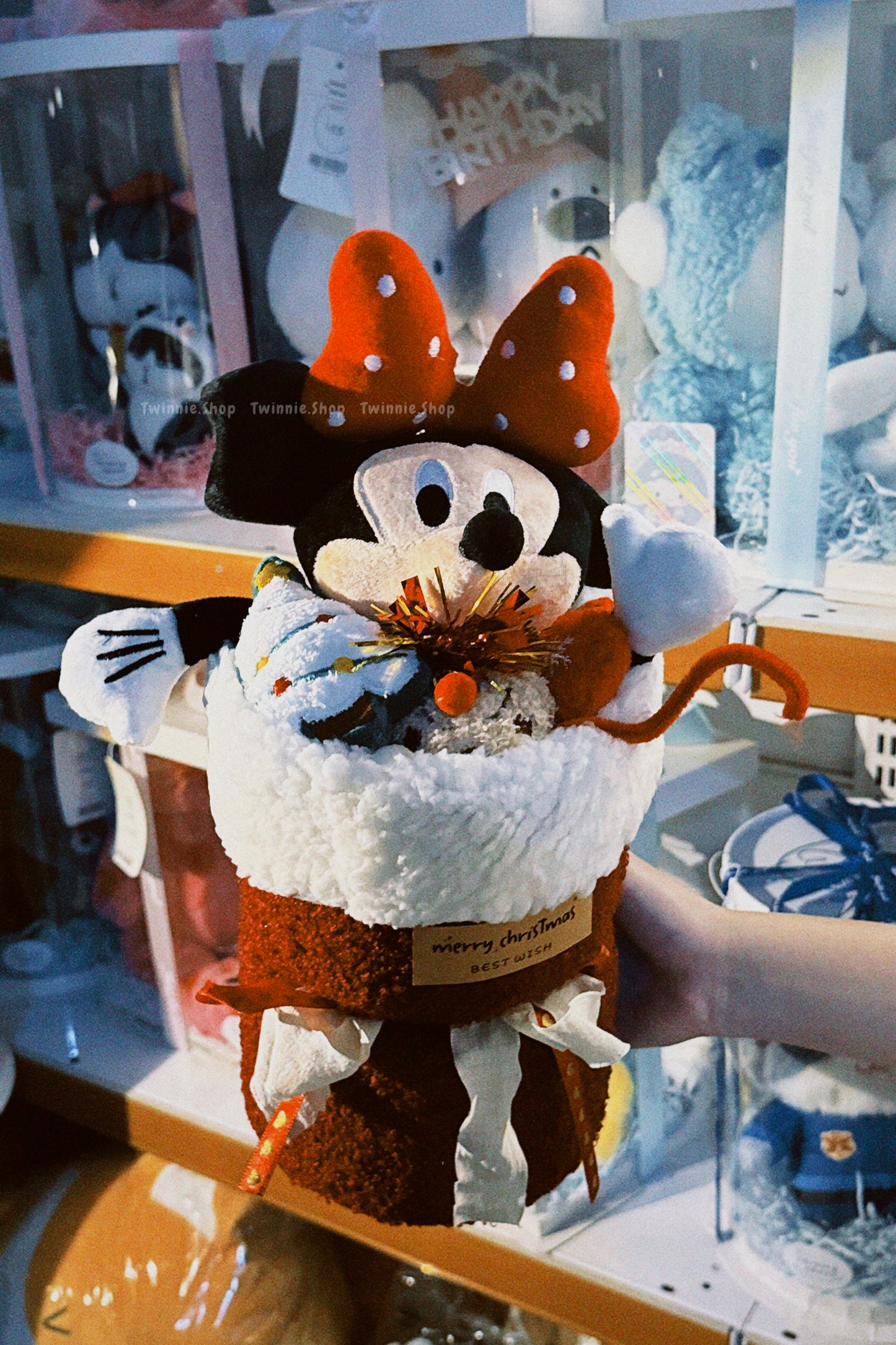 FW | Mickey Mouse flower