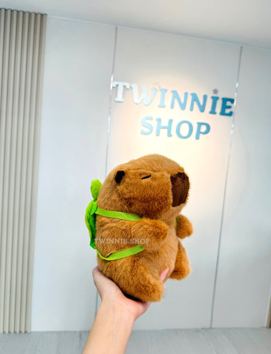 SD | Turtle capybara