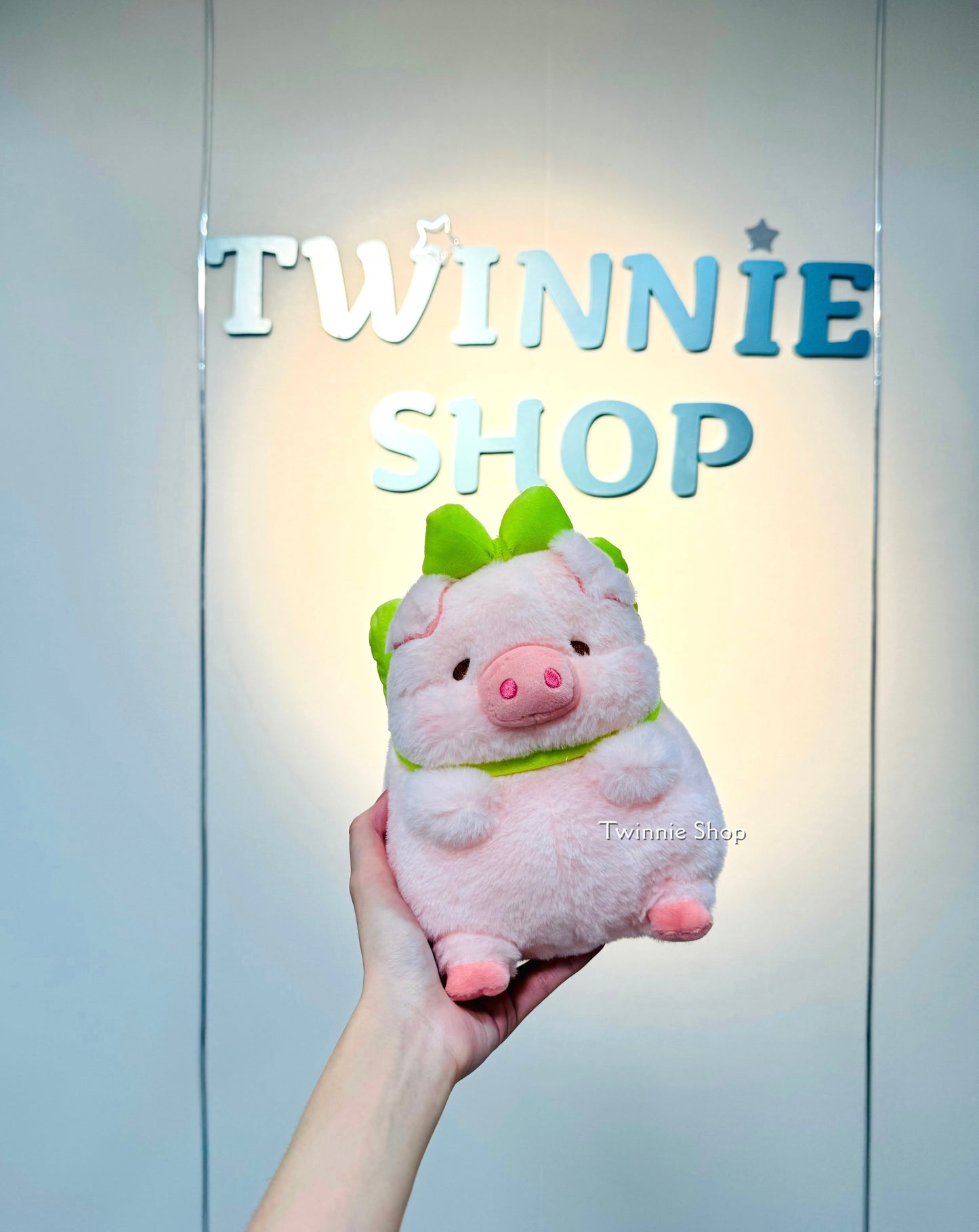 SD | Ribbon piggy