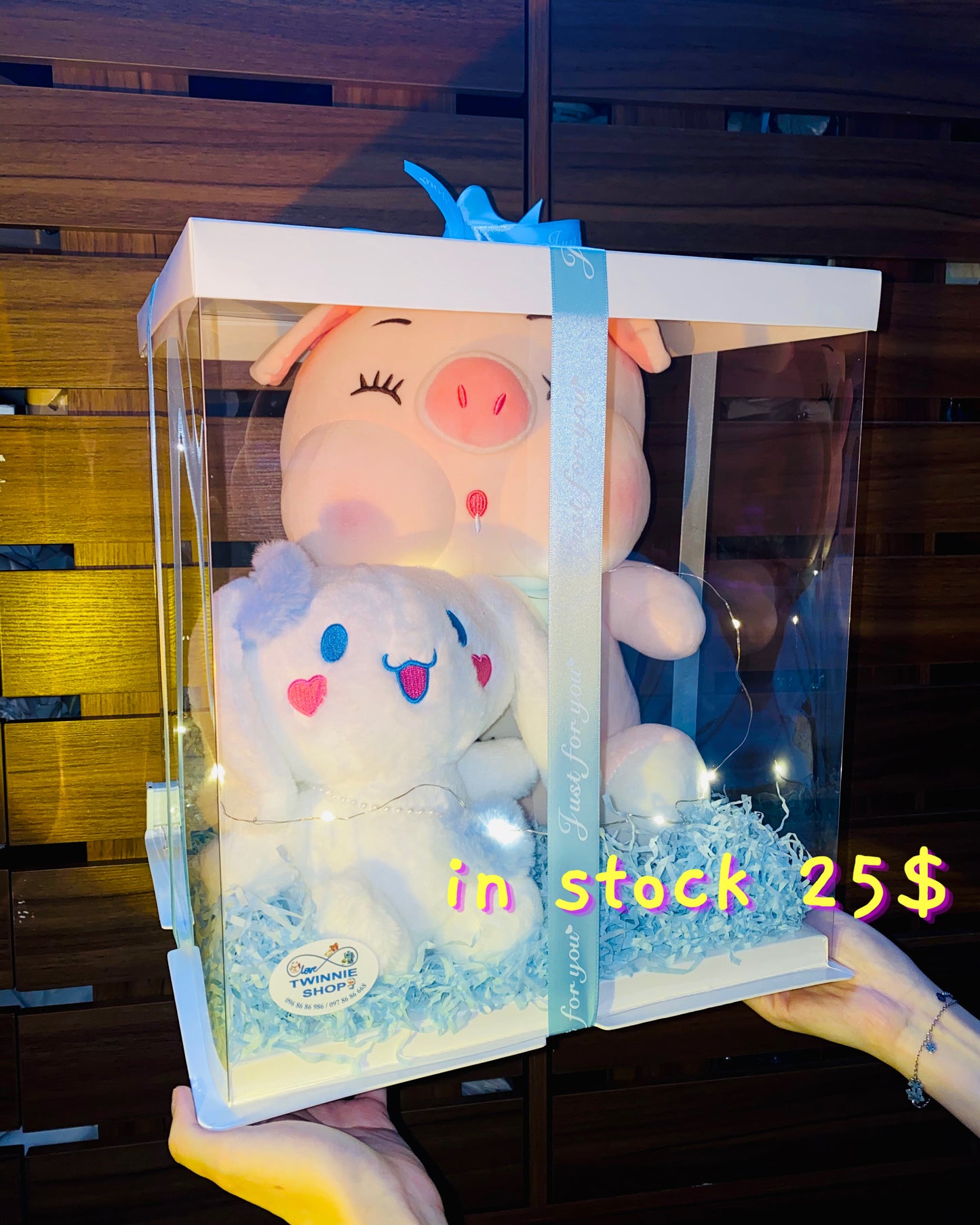 BB | Piggy mix teddy set