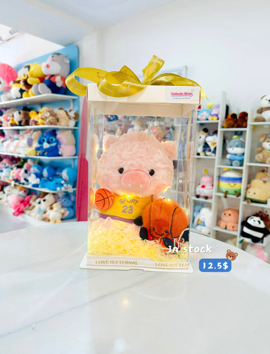 SRBK | Football piggy set