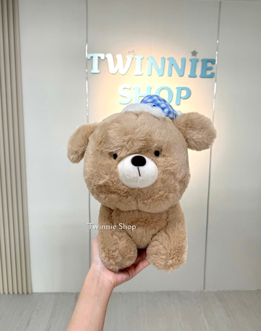 BT | Brown puppy