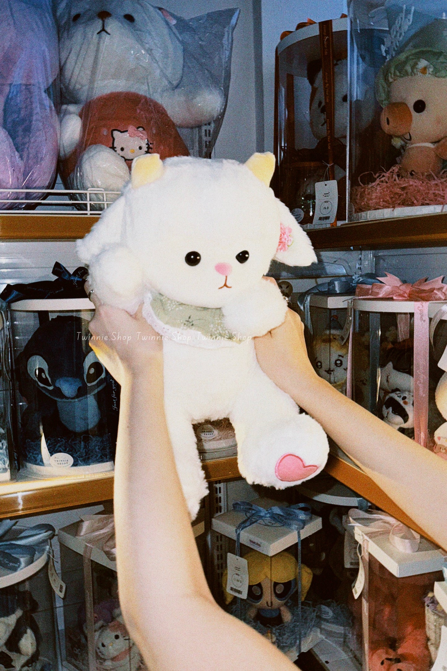 BT | Girly white sheep