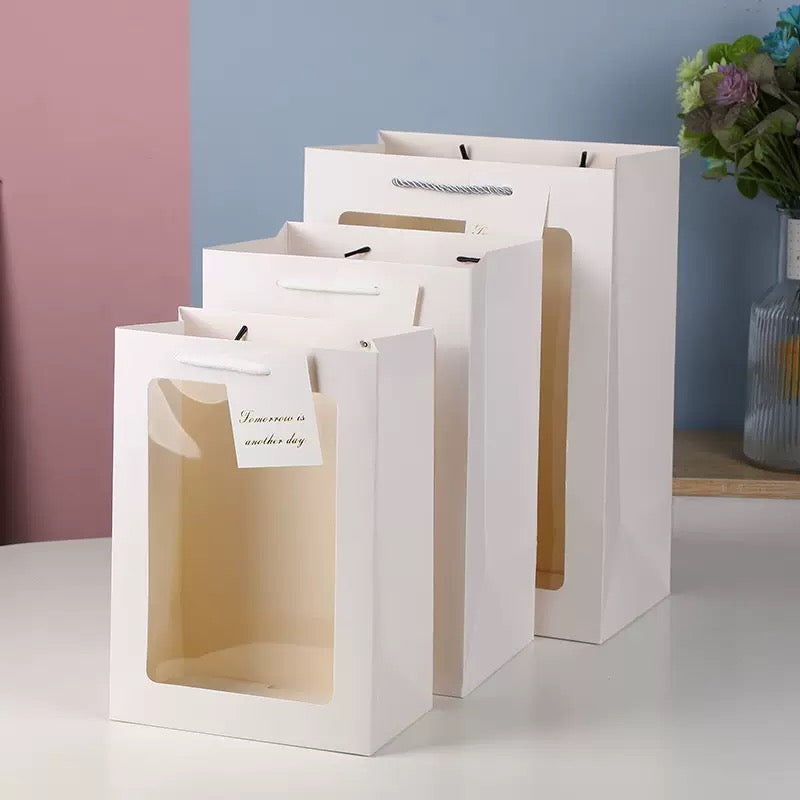 TNS clear gift bag