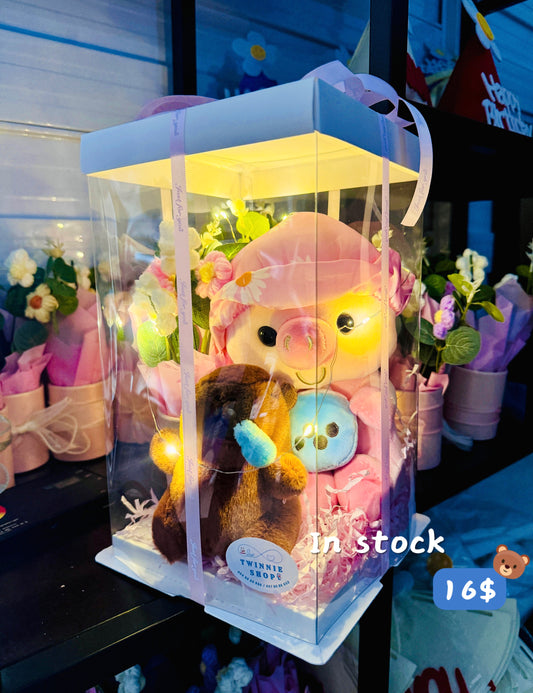 HB16 | Piggy mix set