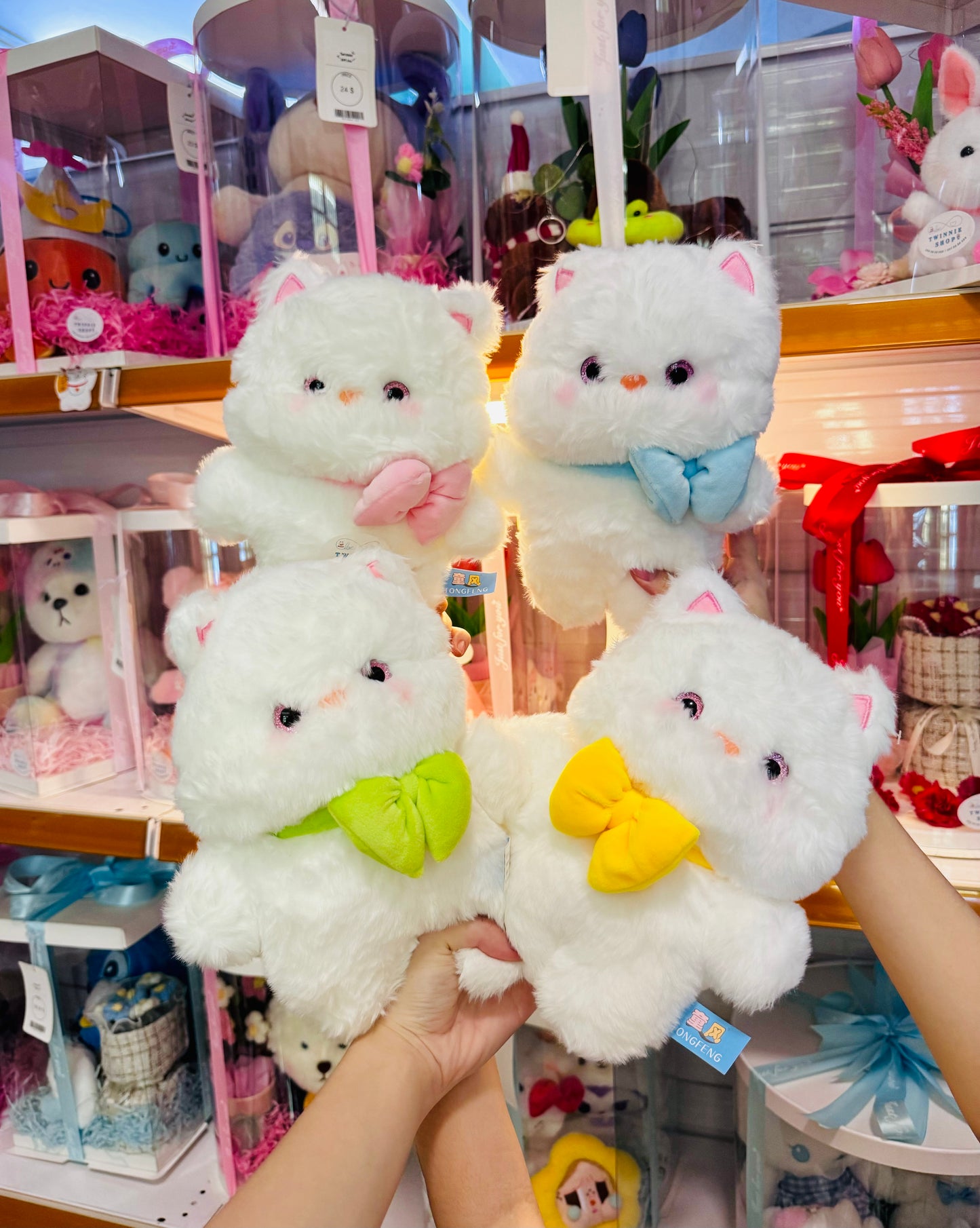 SD | Ribbon cat