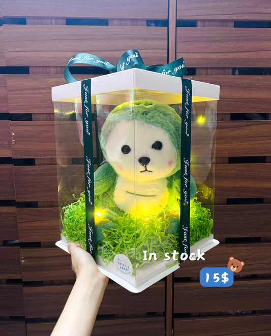 BB | Dinosaur bear gift box