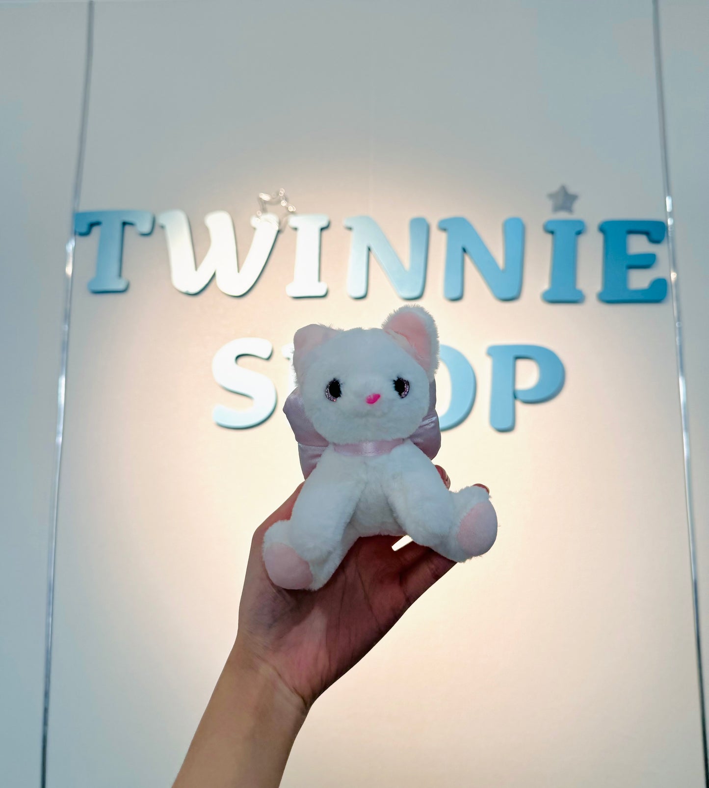 KEY | Ribbon cat keychain