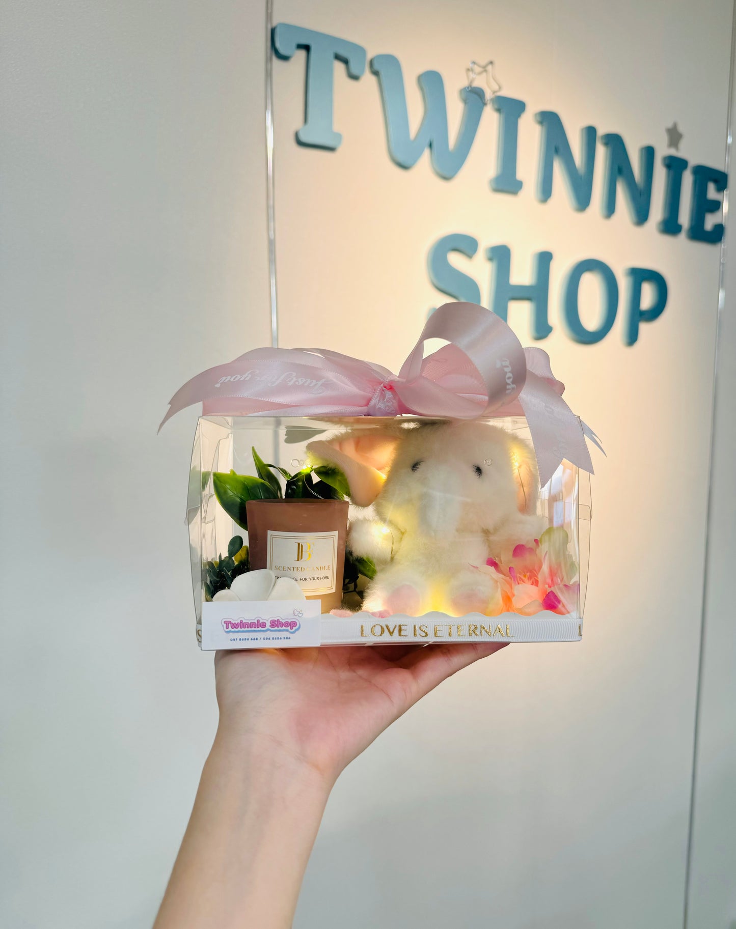CD | Elephant candle set