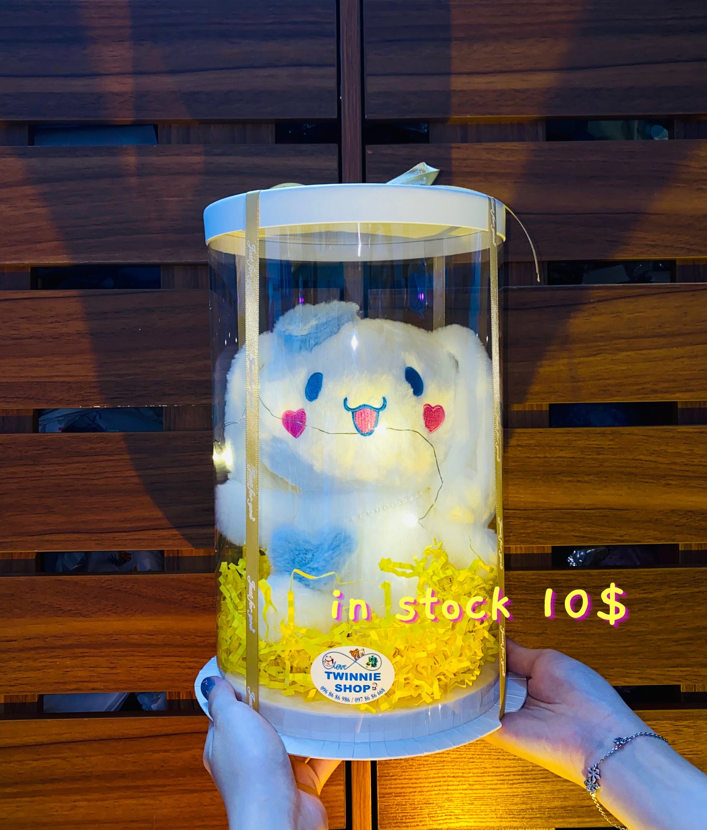 SRB | Cinamoroll gift set