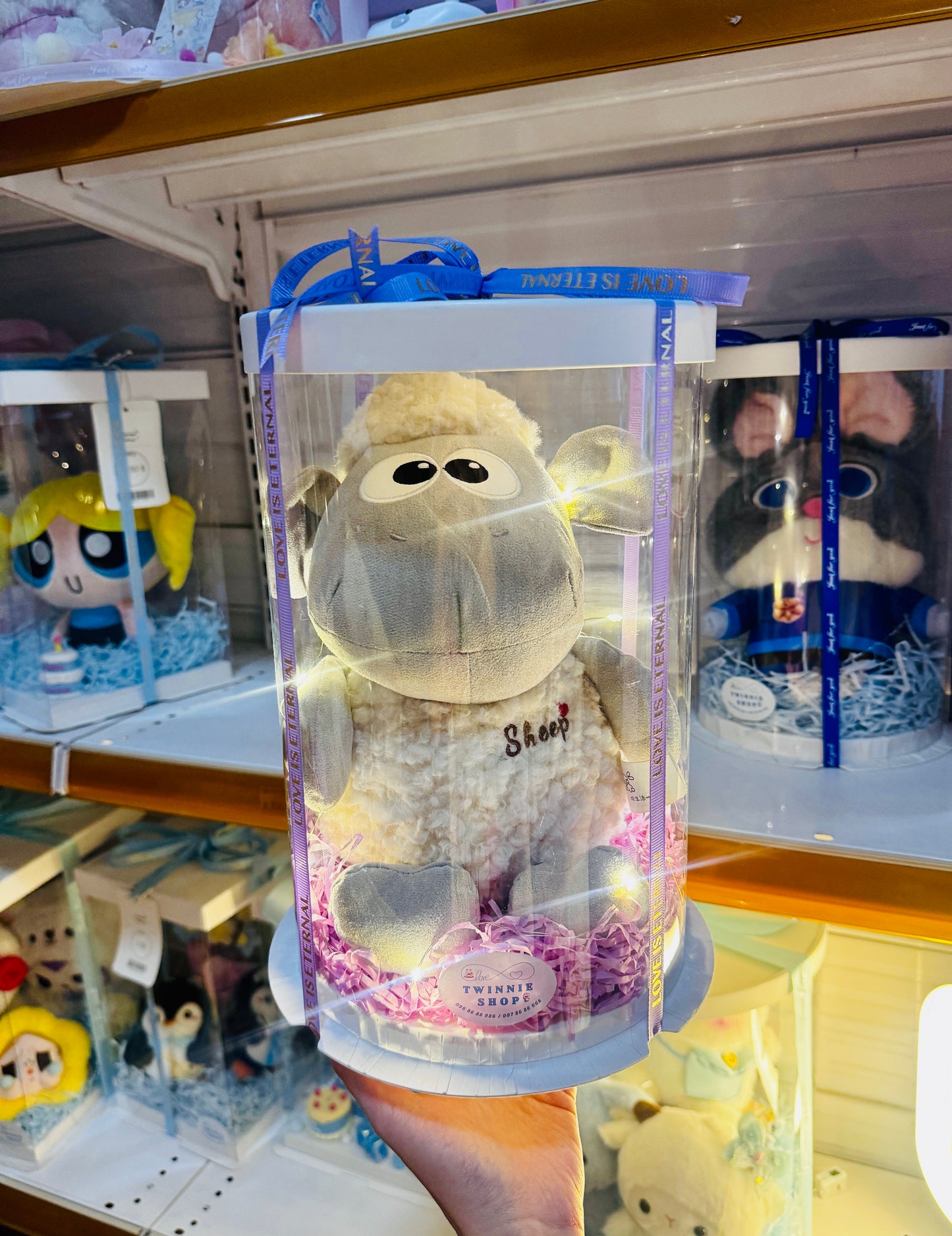 SRB | Suan the sheep gift set