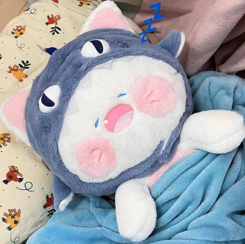 SD | Shark cat