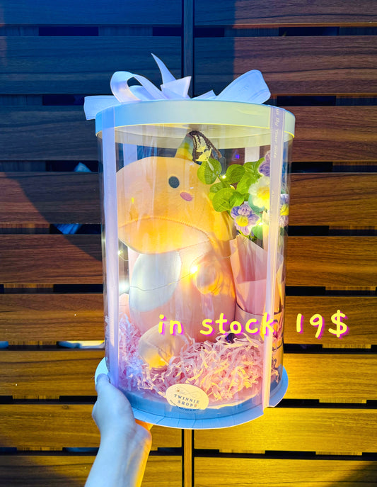 BB | Dinosaur gift set