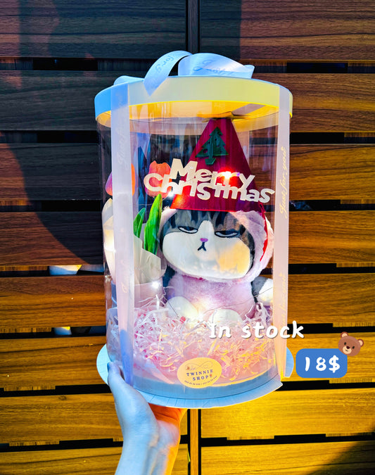 Xmas | Colorful cat gift box