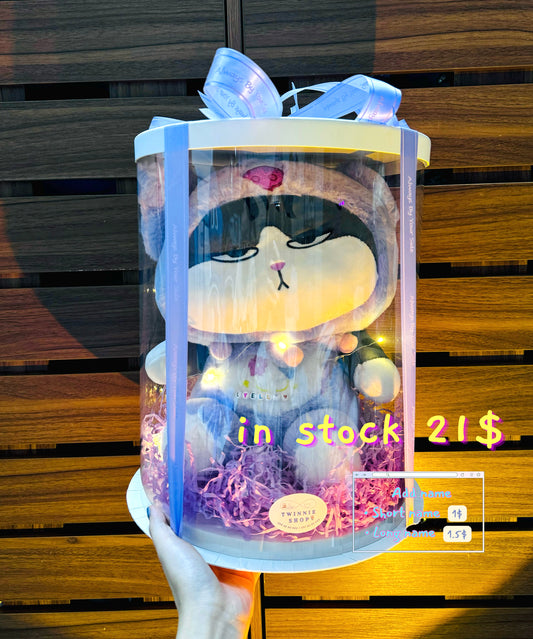 BB | Teddy shirt cat gift set