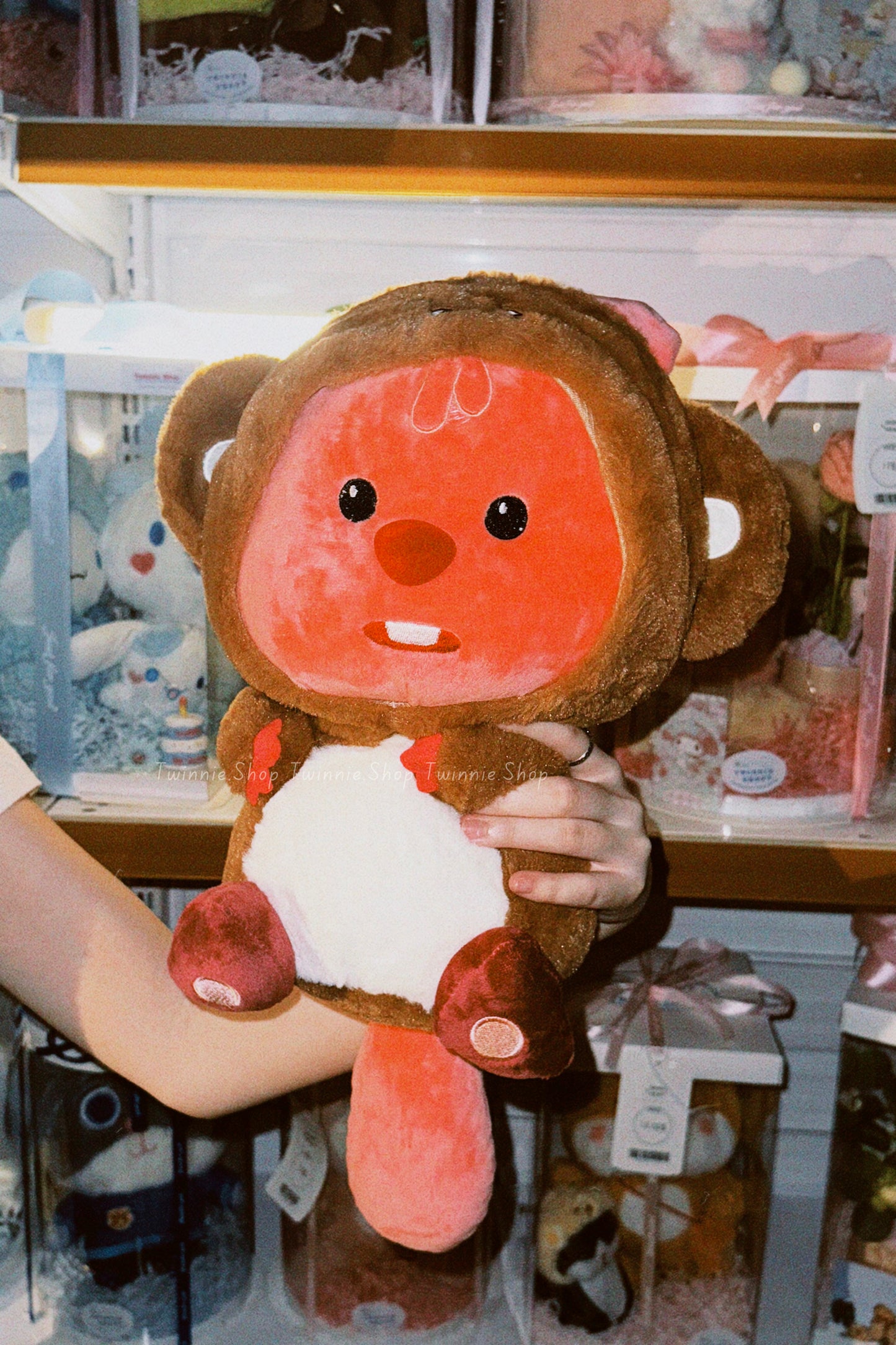 BT | Loopy Teddy