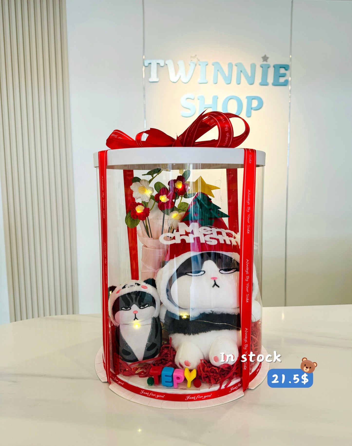 Xmas | Panda Cat Christmas set