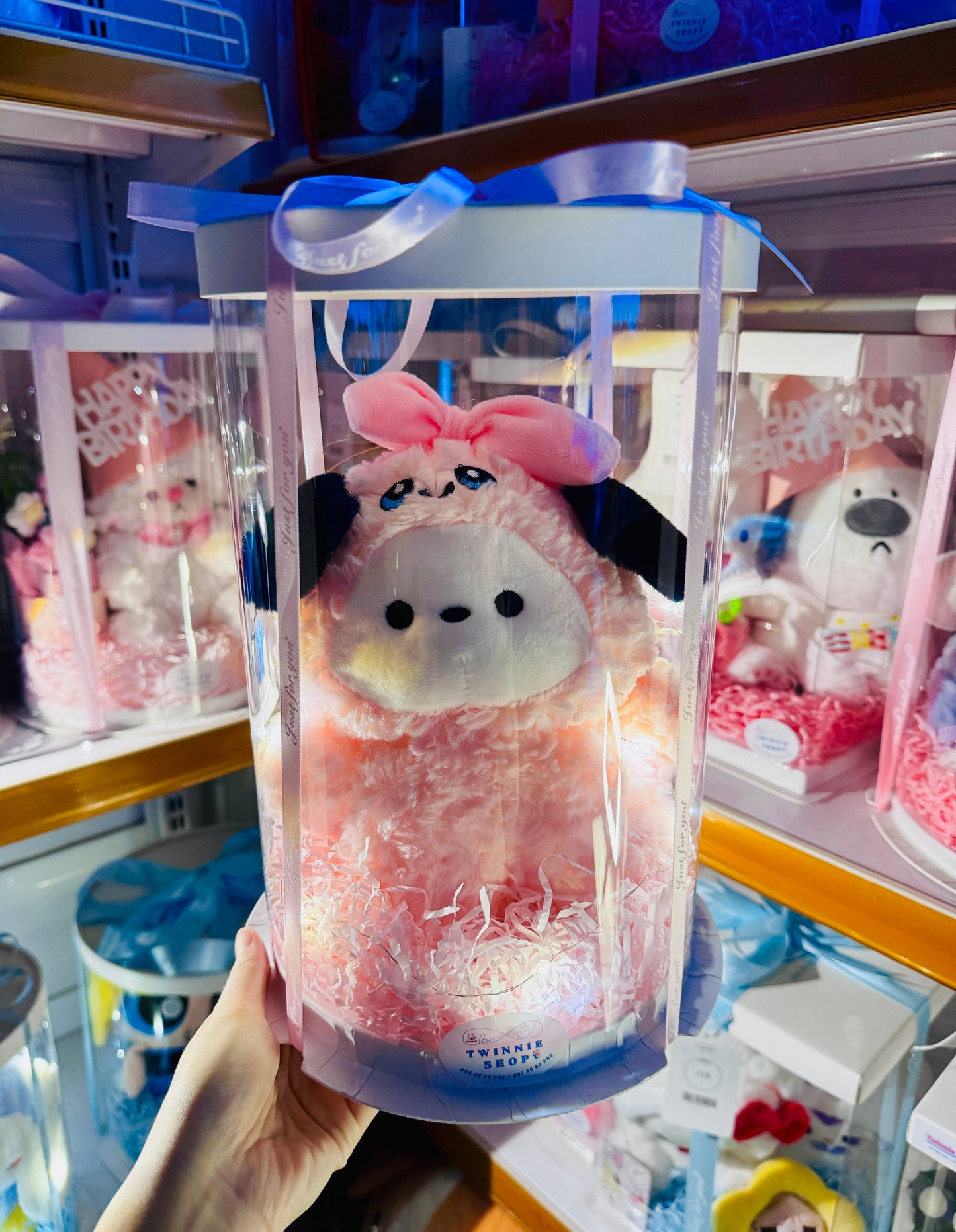 SRB10 | Pink puppy set