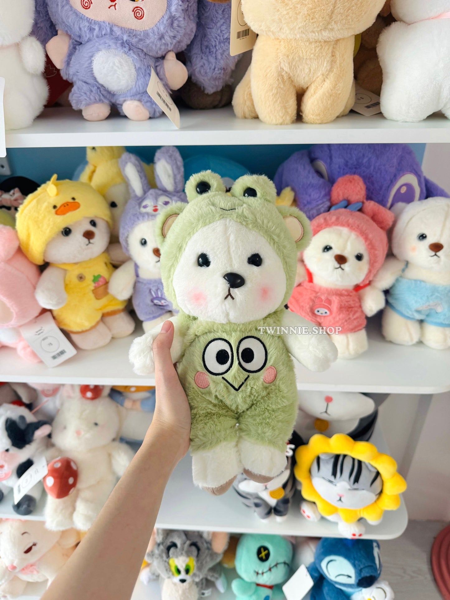 SD | Colorful bear