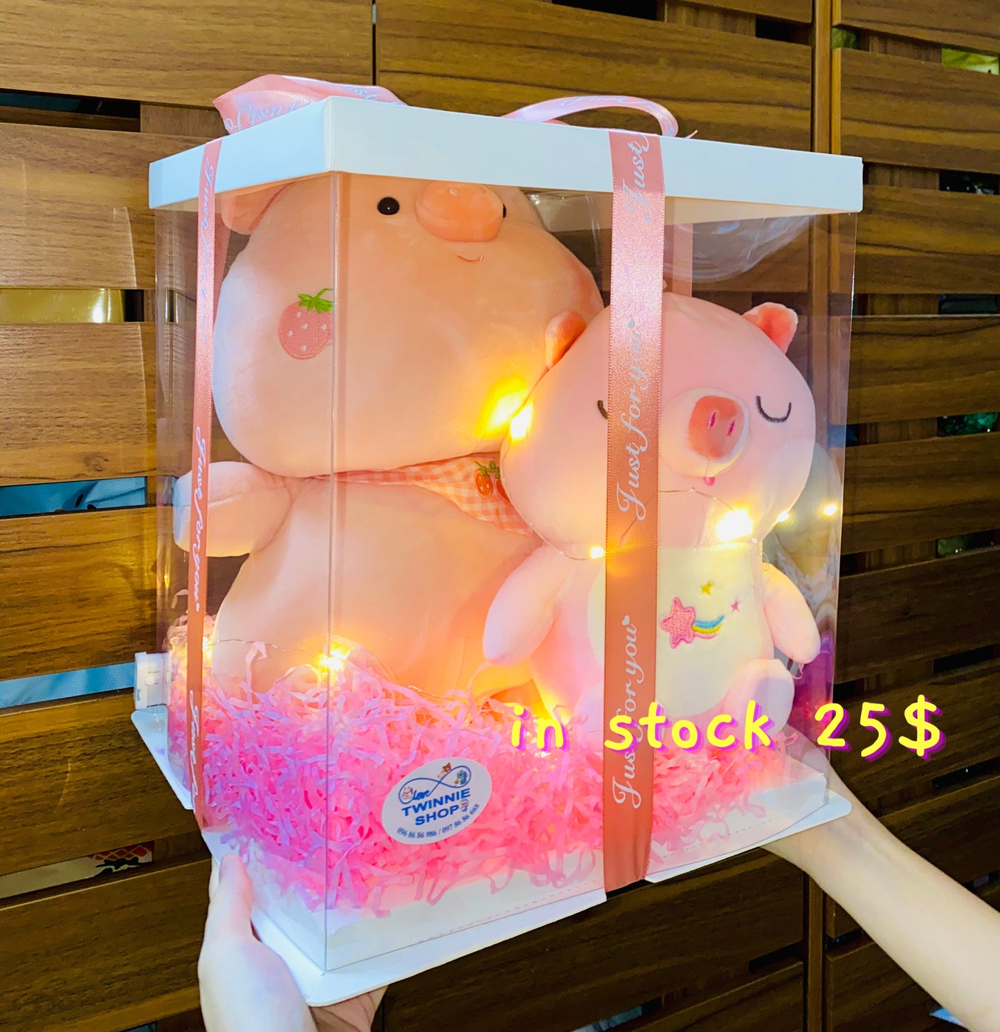 BB | Piggy mix teddy set