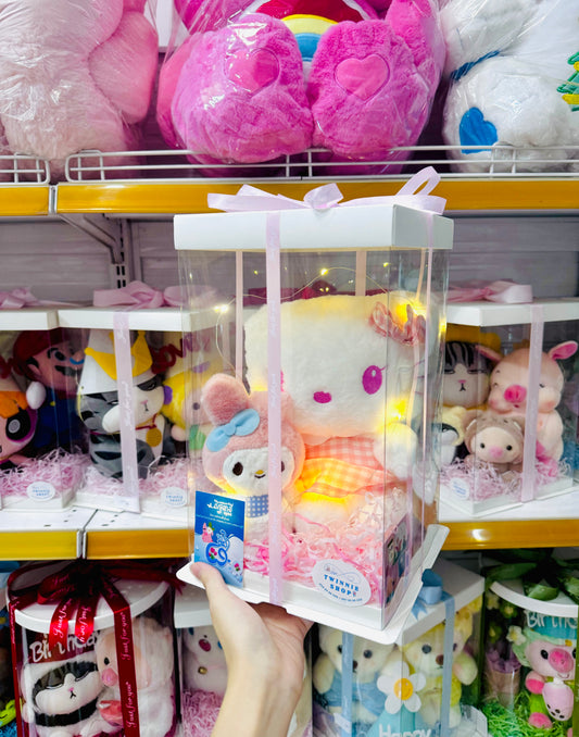 SRB | Hello kitty mix set