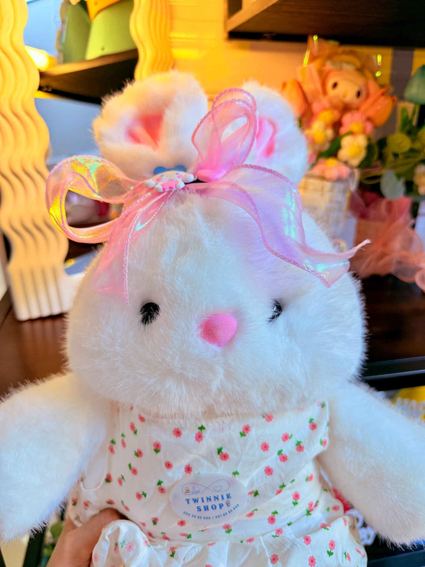 BT | White Bunny