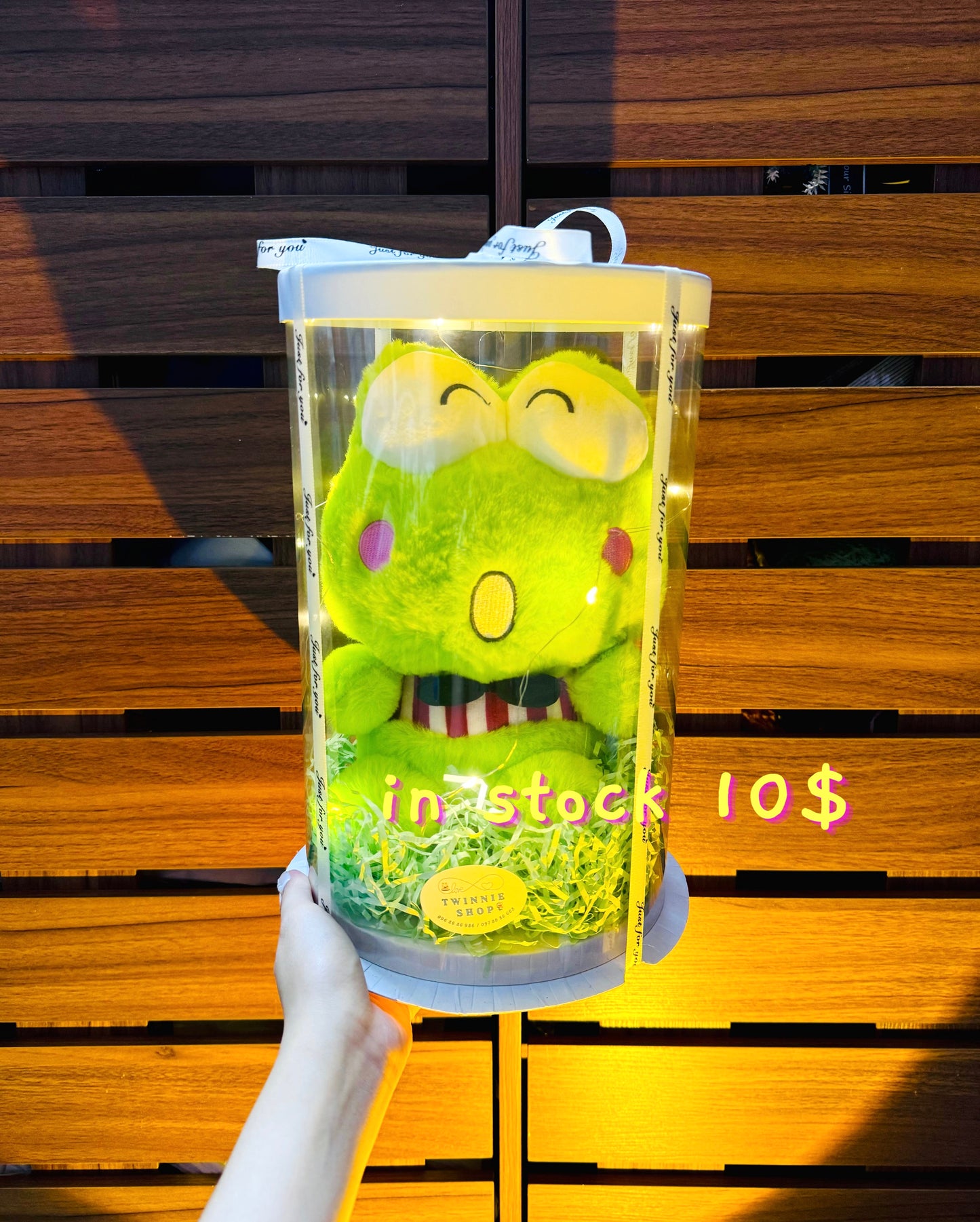 SRB10 | Frog mini set