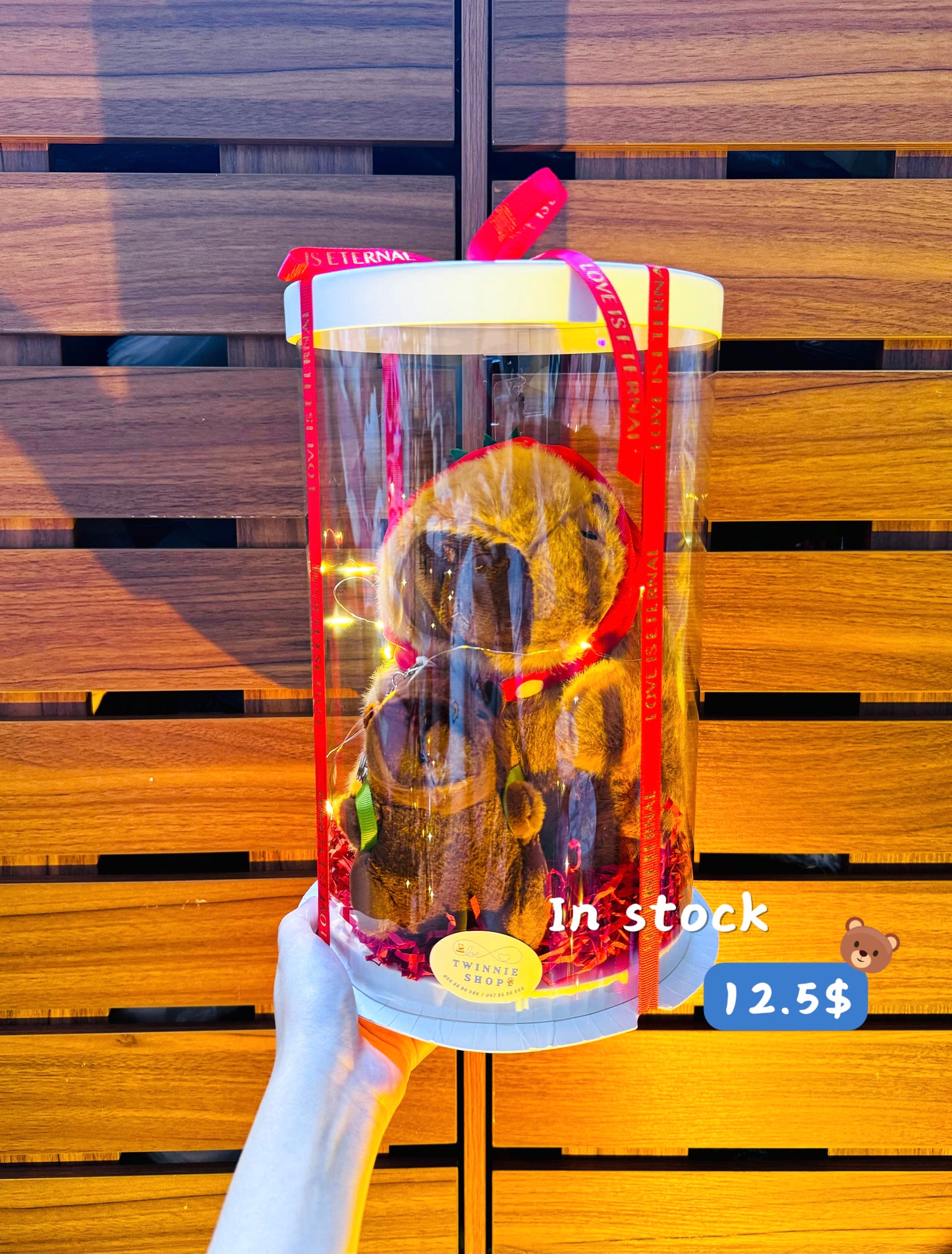 SRBK | Capybara mix keychain set