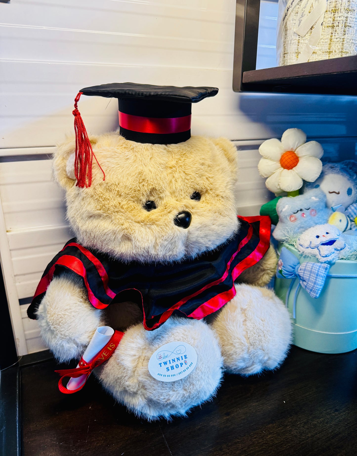 BT | Graduate teddy bear