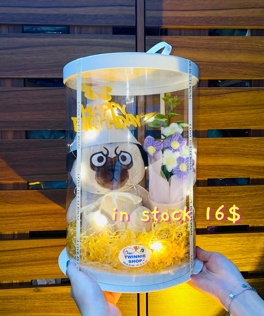 BD16 | Pug birthday full set