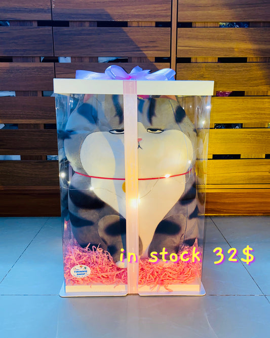 BB | Moody cat big gift set