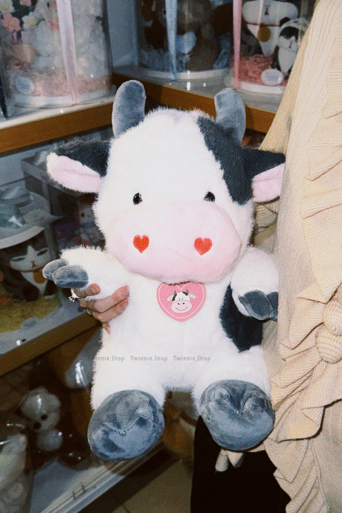 BT | Cow