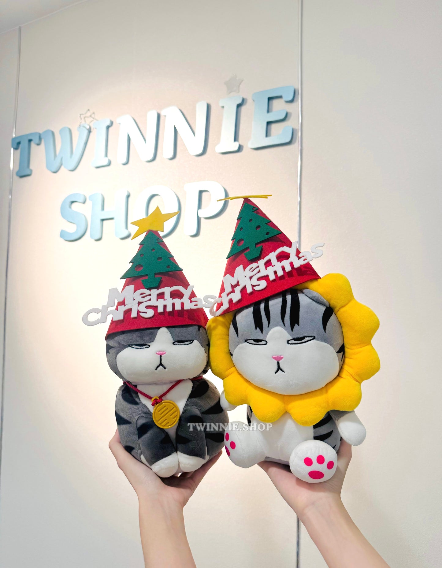 Xmas| cat