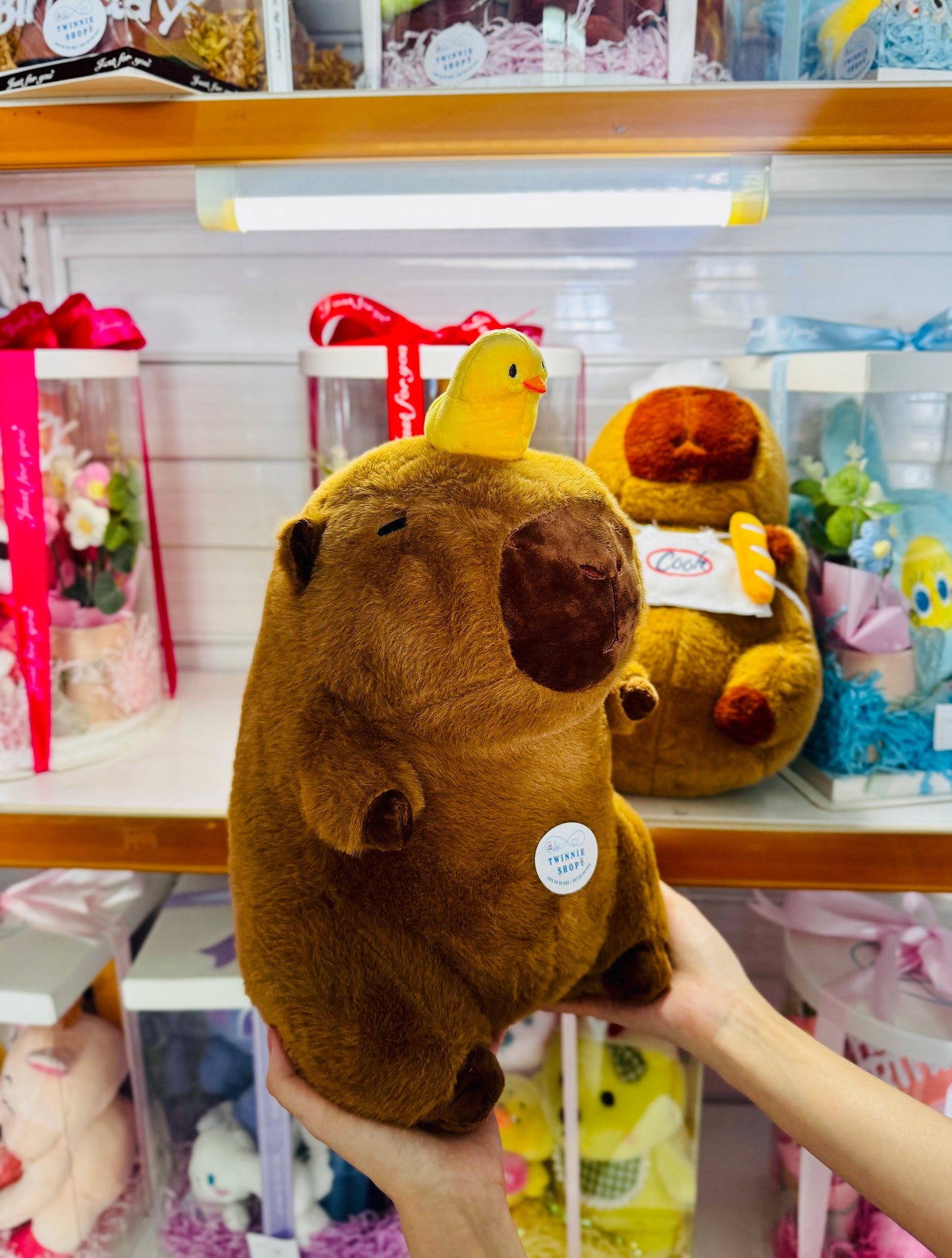 BT | Capybara 30cm