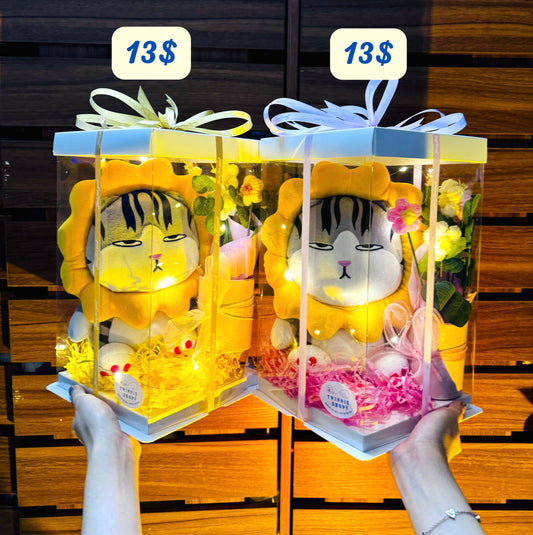 SRBFW | Cat flower box