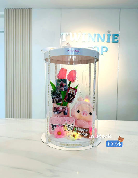 KCB | Piggy birthday photo set