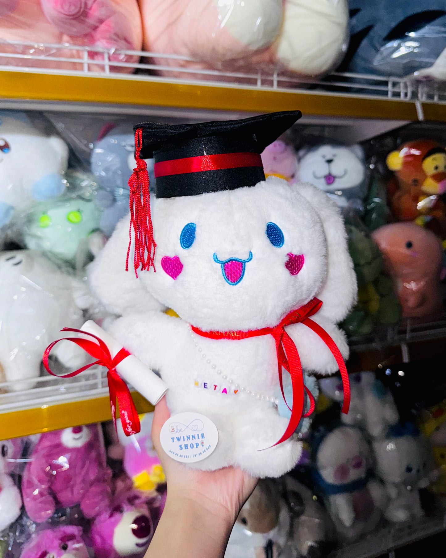 GRASD | Graduate Teddy