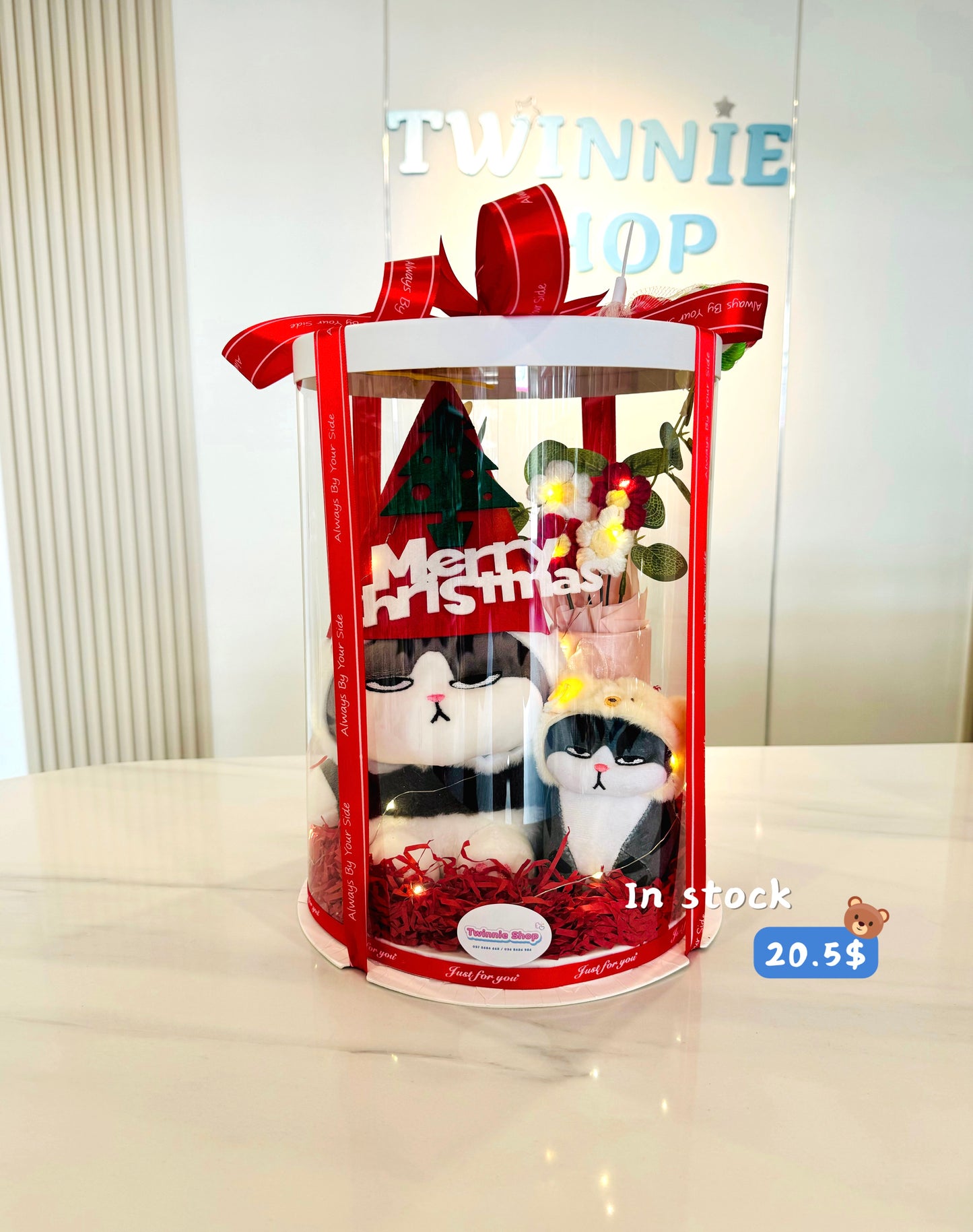 Xmas | Panda Cat Christmas set