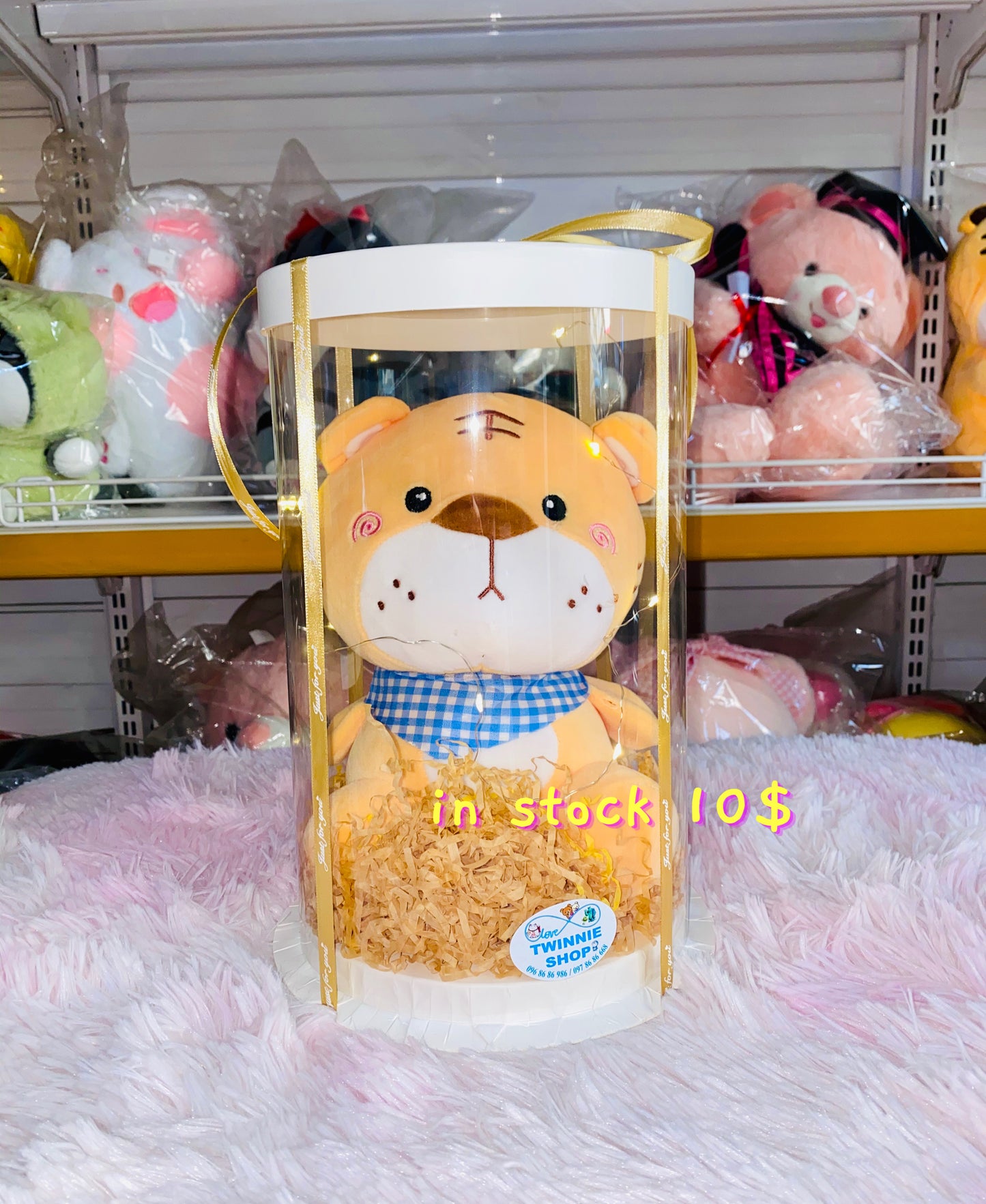 SRB10 | Tiger gift set