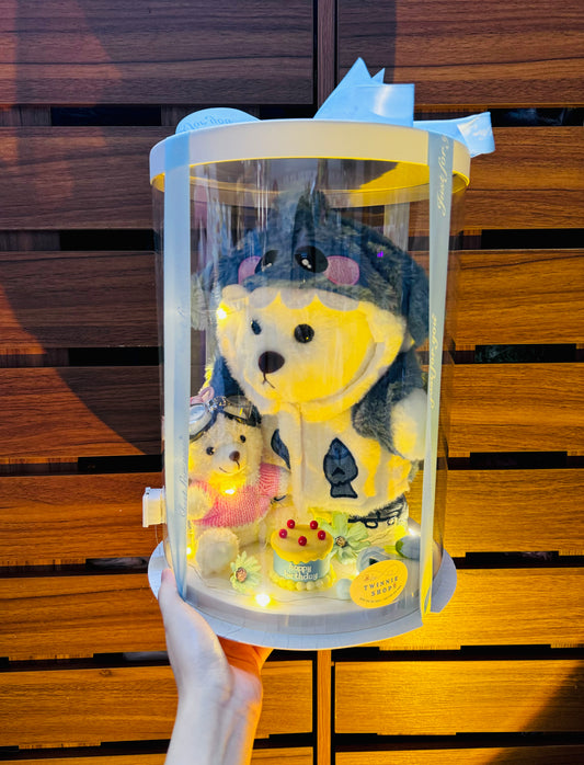 BB | Teddy bear birthday set