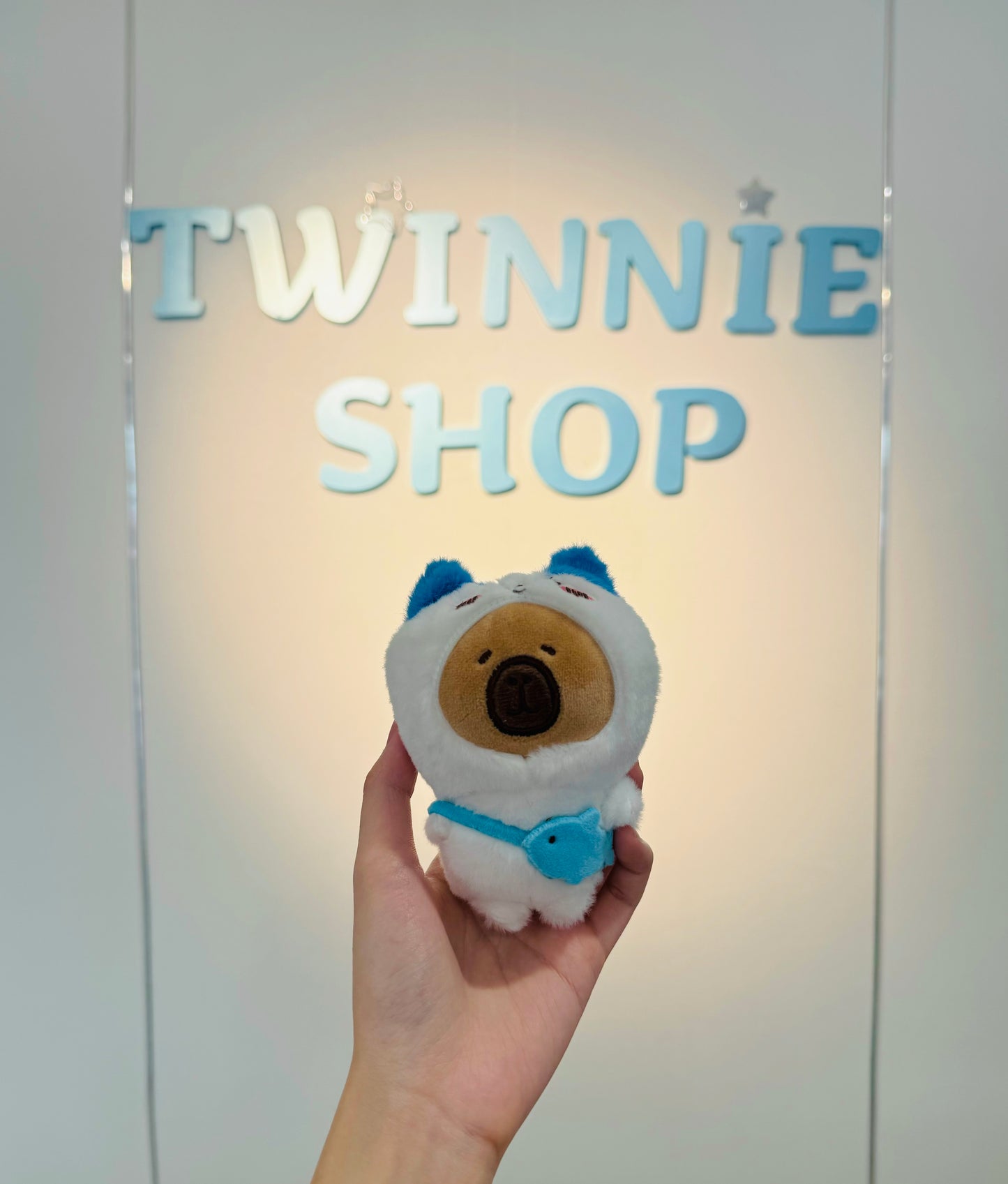 KEY | Capybara keychain