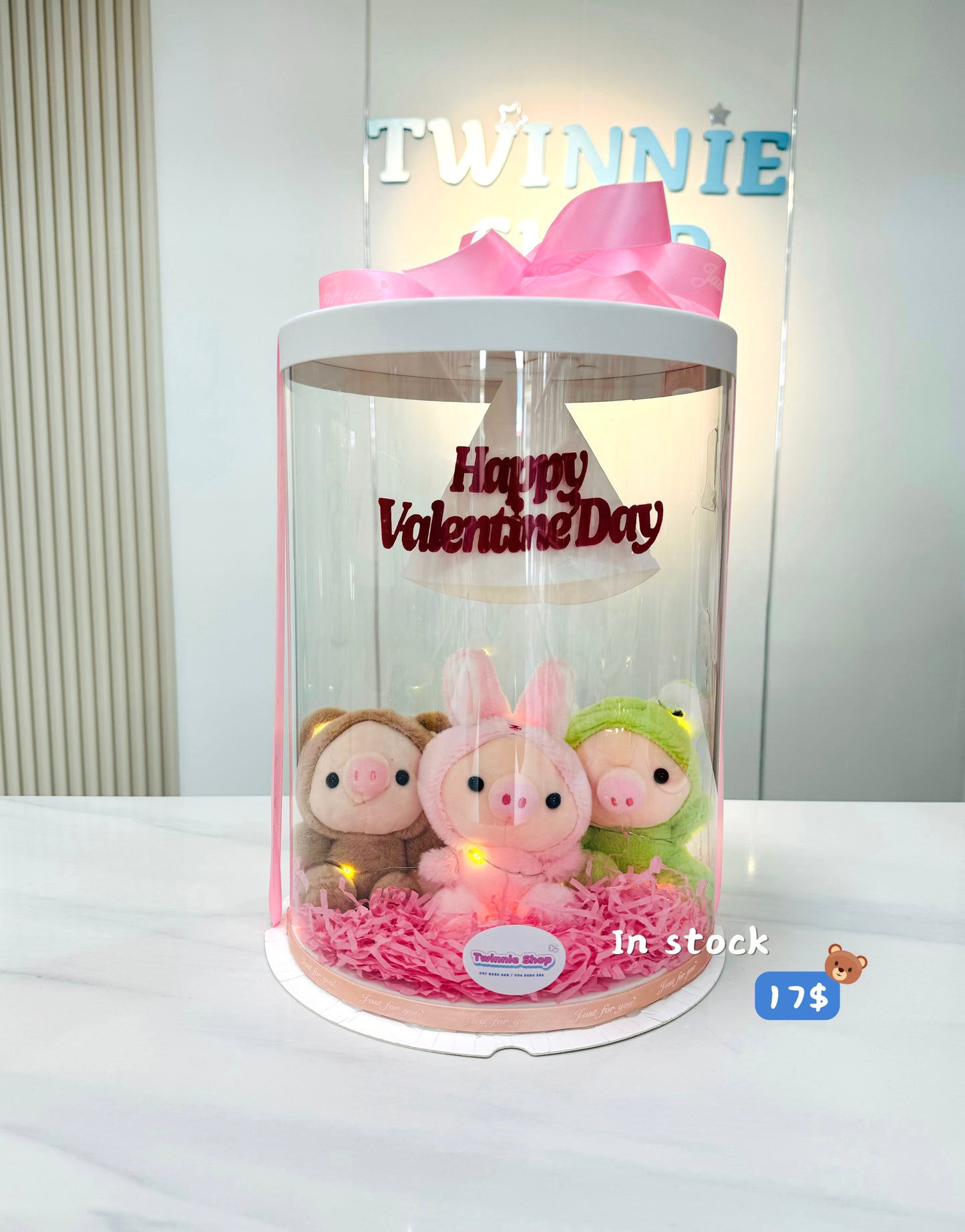 VLT | Piggy valentine set