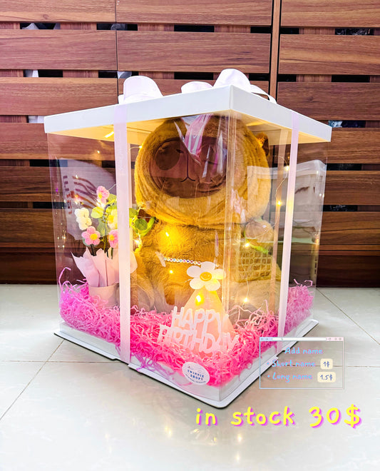 BB | Capybara birthday box big size