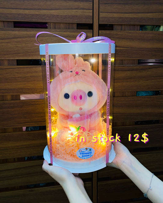 SRB12 | Fruit tea pig gift set
